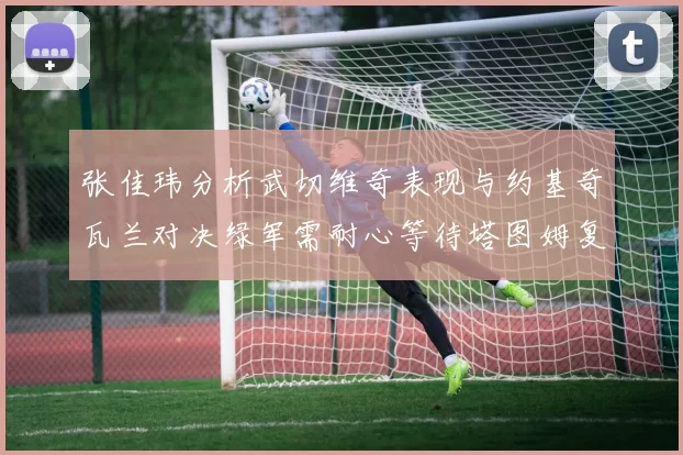 张佳玮分析武切维奇表现与约基奇瓦兰对决绿军需耐心等待塔图姆复出