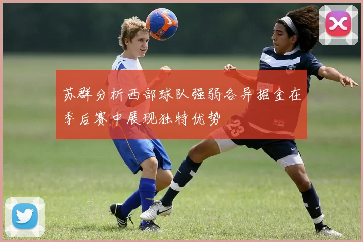 苏群分析西部球队强弱各异掘金在季后赛中展现独特优势