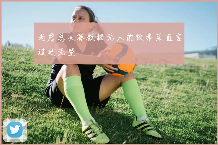 老詹总决赛数据无人能敌弗莱直言追赶无望